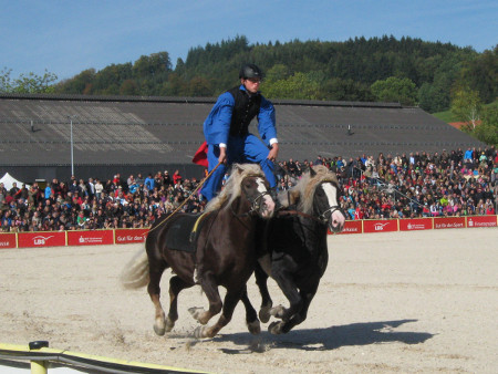 Hengstparade